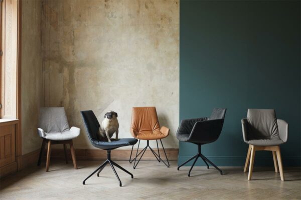 Team 7 Lui Stühle Team 7 Lui Stühle