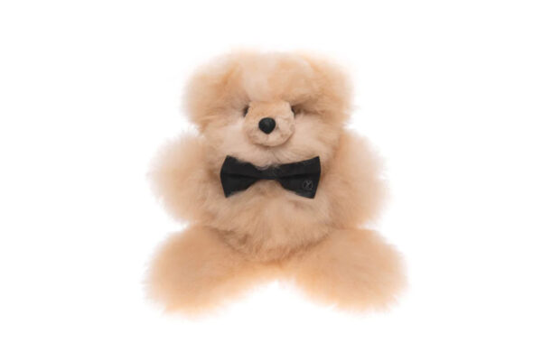 Weich Teddy Pelu Weich Teddy Pelu, Freisteller