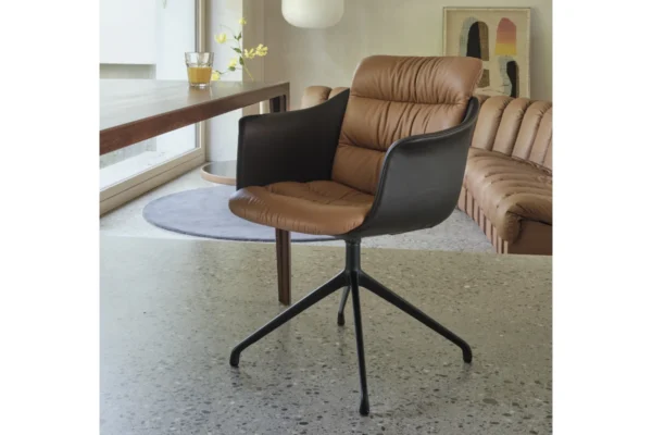 de Sede Stuhl DS-525, Farbenmix de Sede Stuhl DS-525, Farbenmix