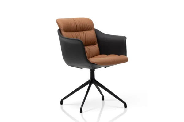 de Sede Stuhl DS-525, Farbenmix de Sede Stuhl DS-525, Farbenmix, Freisteller