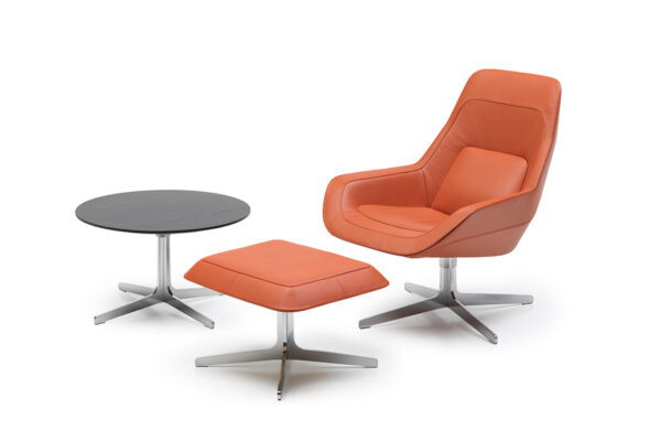 de Sede DS-144 de Sede DS-144 Sessel