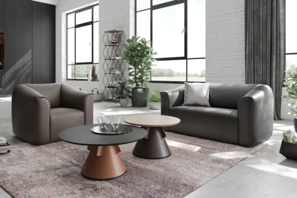 de Sede Sofa DS-47 de Sede Sofa DS-47, mit Sessel