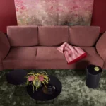 Walter Knoll Sofa Molamisa, 5